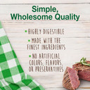 Nylabone Healthy Edibles Natural Dog Chews Long Lasting Chew Treats For Dogs, Roast Beef Flavor, X-Small/Petite (4 Count)