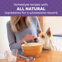 Old Mother Hubbard Wellness Wholesome Indulgences Bacon, Oats & Maple Flavor Natural Dog Treats, 10 Ounce Bag