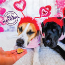Old Mother Hubbard Natural Crunchy Dog Biscuits, Oven-Baked Healthy Treats For Dogs, Limited-Edition Holiday-Inspired Shapes (Peanut Butter - Valentine'S Day, 6-Ounce Bag)