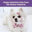 Old Mother Hubbard Natural Crunchy Dog Biscuits, Oven-Baked Healthy Treats For Dogs, Limited-Edition Holiday-Inspired Shapes (Peanut Butter - Valentine'S Day, 6-Ounce Bag)