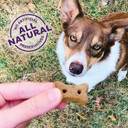 Old Mother Hubbard By Wellness Classic P-Nuttier Natural Dog Treats, Crunchy Oven-Baked Biscuits, Ideal For Training, Mini Size, 6 Pound Box