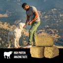 Orijen Freeze Dried Original Dog Treats, Wholeprey Ingredients, 3.25Oz