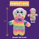 Pet Factory Logical Pet Rainbow Squeaky Plush Dog Toy, Randomly Selected - Bear Or Monkey, One Size