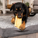 Pet Factory Carechewz Collagen 6-7" Large Wraps Dog Chew Treats - Chicken Flavor, 2 Count/1 Pack