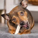 Pet Factory American Beefhide 3-3.5" Mini Rolls Dog Chew Treats - Natural Flavor, 14 Count/1 Pack