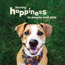 Pet 'N Shape Long Lasting Chewz Dog Treats - Chicken Wrapped Rawhide 6 Bones 4 Inch Long