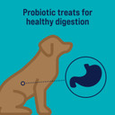 Stewart Freeze Dried Dog Treats, Healthy Gut Chicken & Vegetable, Gut Health Probiotics, Grain Free, 8 Ounce Resealable Pouch, Made In Usa