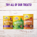Wellness Crunchy Puppy Bites Natural Grain-Free Treats For Training, Dog Treats With Real Meat And Dha, No Artificial Flavors (Crunchy Chicken & Carrots, 6-Ounce Bag)