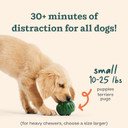 Woof Starter Pack - Pupsicle Interactive Dog Toys - Silicone Dog Treat Mold And Pupsicle Refill Pops Chicken - Dog Toys For Small Dogs 10-25 Lbs
