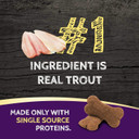 Zignature Trout Limited Ingredient Formula Biscuit Dog Treats 12Oz