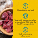 Zukeã¢ÂS Puppy Naturals Bag Of Soft Puppy Treats For Training, Natural Dog Treats Bites With Lamb Recipe - 5 Ounce (Pack Of 1)