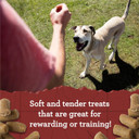 Zuke'S Lil' Links Grain Free Dog Treats Pork & Apple Recipe - 6 Oz. (41055)