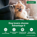 Advantage Ii Small Dog Vet-Recommended Flea Treatment & Prevention | Dogs 3-10 Lbs. | 4-Month Supply