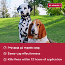 K9 Advantix Ii Small Dog Vet-Recommended Flea, Tick & Mosquito Treatment & Prevention | Dogs 4-10 Lbs. | 4-Mo Supply
