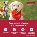 K9 Advantix Ii Medium Dog Vet-Recommended Flea, Tick & Mosquito Treatment & Prevention | Dogs 11-20 Lbs. | 6-Mo Supply