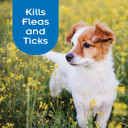Sentry Pro Flea And Tick Shampoo For Dogs, Rid Your Dog Of Fleas, Ticks And Other Pests, Sunwashed Linen, 18 Oz