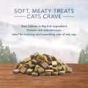 Blue Buffalo Wilderness Grain Free Soft-Moist Cat Treats, Chicken & Salmon 8-Oz Bag