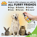 Bodhi Dog Natural Dog Cologne | Premium Scented Deodorizing Body Spray For Dogs & Cats | Neutralizes Strong Odors | Dog Perfume With Natural Dog Conditioner | Pet Supplies (Mango, 4 Fl Oz (Pack Of 1)