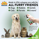 Bodhi Dog Natural Dog Cologne | Premium Scented Deodorizing Body Spray For Dogs & Cats | Neutralizes Strong Odors | Dog Perfume With Natural Dog Conditioner | Made In Usa (Winter Wonderland, 4 Fl Oz)