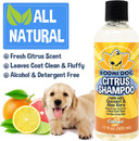 Bodhi Dog New Refreshing Orange Citrus Dog Shampoo | Deep Cleaning Formula With Coconut And Aloe Vera | Natural Soothing & Moisturizing Pet Dog Puppy And Cat Wash (17 Fl Oz)