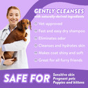 Bodhi Dog Waterless Shampoo | Natural Dry Shampoo For Dogs Or Cats | Neutralizes Pet Odor | No Rinse Required | Made With Natural Extracts | Vet Approved- Made In Usa (Lavender, 8 Fl Oz)