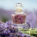 Guerlain Mon Guerlain Edt Spray Women 1.6 Oz1.6 Fl Oz (Pack Of 1)