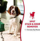 Nature'S Miracle Dog Stain And Odor Remover, Safe For Your Pets & Home
