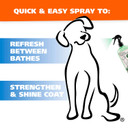 Wahl Usa Deodorizing & Refreshing Pet Deodorant For Dogs - Eucalyptus & Spearmint Scent To Refresh The Skin And Coat - Model 820011A