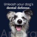 Remineralizing Dog Toothpaste  Vet-Grade, With Nano-Hydroxyapatite, Reverses Early-Stage Decay, Cleans Teeth, Removes Tartar, Freshens Breath By Arterra Pet Science, Plant-Based, Natural Flavor, 4Oz