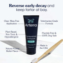 Remineralizing Dog Toothpaste  Vet-Grade, With Nano-Hydroxyapatite, Reverses Early-Stage Decay, Cleans Teeth, Removes Tartar, Freshens Breath By Arterra Pet Science, Plant-Based, Natural Flavor, 4Oz