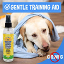 Bodhi Dog Bitter Lemon Spray | Anti Chew Spray For Dogs And Cats | Kitten & Puppy Training Anti Chew Spray | 100% Non Toxic | Made In Usa (4Oz)