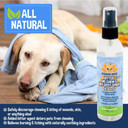 Bodhi Dog New Bitter 2 In 1 No Chew & Hot Spot Spray | All Natural Anti-Chew Remedy | Safe For Skin, Wounds, Anything Else | Made In Usa