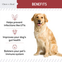 Chew + Heal Uti Treatment Cranberry Chews For Dogs - 240 Soft Chews - Supports Healthy Urinary Tract And Bladder Function - Corrects Imbalances - With Echinacea And Vitamin C