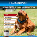 Forza10 Dog Skin And Coat Supplement With Omega 3 Fish Oil Dogs, Provides Dog Allergy Relief, Salmon Flavor Dog Vitamins & Supplements For Itchy Skin Relief, Dog Allergy Chews With Probiotics, 90 Ct