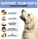 Calming Chews For Dogs - Dog Calming Treats With Hemp Oil, Valerian Root, Vitamin B - Dog Anxiety Relief, Separation, Fireworks, Thunderstorms - For All Breeds