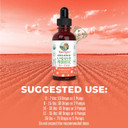 Maryruth Organics Dog Probiotic, Usda Organic Probiotic For Dogs, Dog Probiotic For Digestive Support, Supplement For Gut Health & Beneficial Bacteria, Vegan, Non-Gmo, Gluten Free, 4 Fl Oz