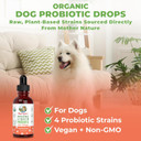 Maryruth Organics Dog Probiotic, Usda Organic Probiotic For Dogs, Dog Probiotic For Digestive Support, Supplement For Gut Health & Beneficial Bacteria, Vegan, Non-Gmo, Gluten Free, 4 Fl Oz
