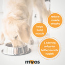 Myos Canine Muscle Formula - All-Natural Muscle Building Supplement - Helps Reduce Muscle Loss In Dogs Due To Normal Aging And Improves Recovery From Injury Or Surgery