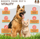 Natural Dog Company Wellness Bundle For Dogs, Salmon Oil For Dogs, Multivitamin And Supplement, Itch Relief For Dogs