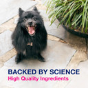 Nutramax Laboratories Proviable Digestive Health Supplement Multi-Strain Probiotics And Prebiotics For Dogs, With 7-Strains Of Bacteria, 60 Chewable Tablets