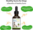 Pet Wellbeing - Healthy Gums For Dogs - Natural Supplement For Healthy Gums, Teeth And Breath Against Dog Gingivitis - 2Oz (59Ml)