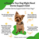 Pet Wellbeing Derma Support Gold For Dogs - Vet-Formulated - Normal Skin Yeast Balance, Skin Itching & Odor - Natural Herbal Supplement 2 Oz (59 Ml)