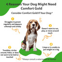 Pet Wellbeing Comfort Gold For Dogs - Natural Pain Relief For Canines - 2 Oz (59Ml)