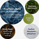 Petlab Co. Probright Advanced Dental Powder - Dog Breath Freshener - Teeth Cleaning Made Easy  Targets Tartar & Bad Breath - Formulated For Small Dogs