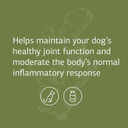 Standard Process Canine Flex Support - Joint & Immune Health Support Supplement For Dogs - Chewable Wafers For Healthy Joint Function Support - Nutritional Whole Food Supplement - 100 Wafers