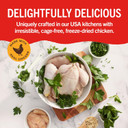 Stella & Chewy'S Dental Delights With Freeze-Dried Chicken - Medium Dental Treats For Dogs, Single Serve