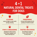 Stella & Chewy'S Dental Delights With Freeze-Dried Chicken - Large Dental Treats For Dogs, 5.5 Ounce Bag
