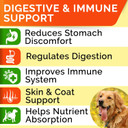 Strellalab Pet Probiotics For Dogs & Digestive Enzymes - Digestion & Gut Health Treats, Dog Probiotics Chews, Fiber Supplement, Anti Diarrhea, Constipation, Upset Stomach&Gas Relief, Canine Prebiotic Strellalab Pet Probiotics For Dogs & Digestive Enzymes - Digestion & Gut Health Treats, Dog Probiotics Chews, Fiber Supplement, Anti Diarrhea, Constipation, Upset Stomach&Gas Relief, Canine Prebiotic