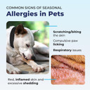 Vetnique Dermabliss Hot Spot Treatment For Dogs - Antiseptic Medicated Chlorhexidine Spray - Vet Recommended For Skin Infections, Hot Spots & Irritation (Hot Spot Spray, 8Oz)