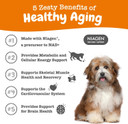 Zesty Paws Nad+ Precursor Supplement For Dogs - Niagen For Healthy Aging & Skeletal Muscle Support & Recovery - Brain, Heart, & Cellular Energy Support - Nicotinamide Riboside Chloride  30 Sachets